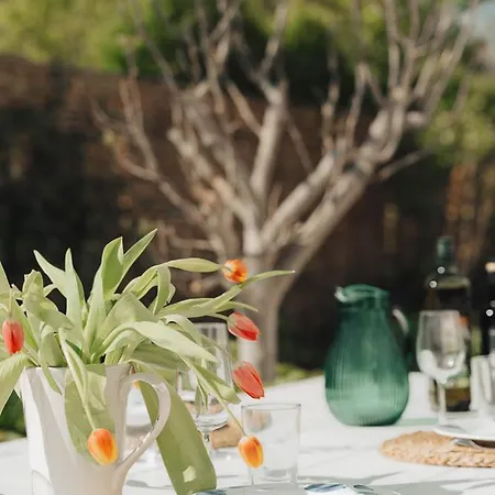 'la Veille - Becassine' In - Bad